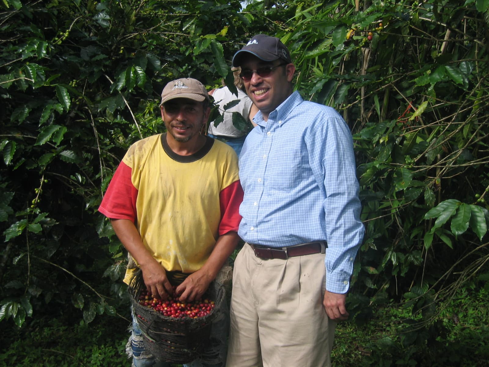 A visit with a picker holding a basket of freshly harvested coffee cherries