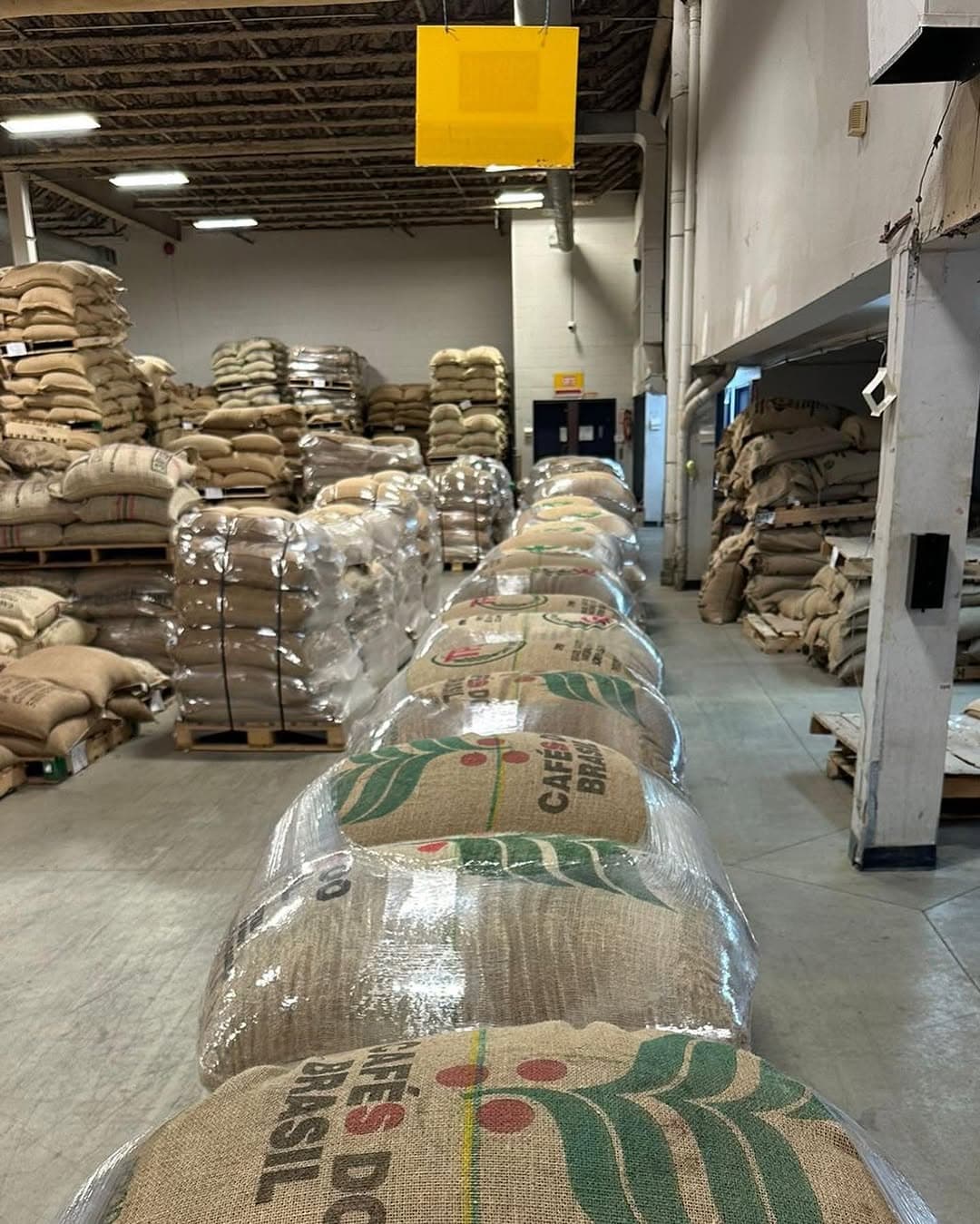 A long single row of wrapped pallets running down the warehouse floor, Brazilian jute bags visible on the nearest pallets.