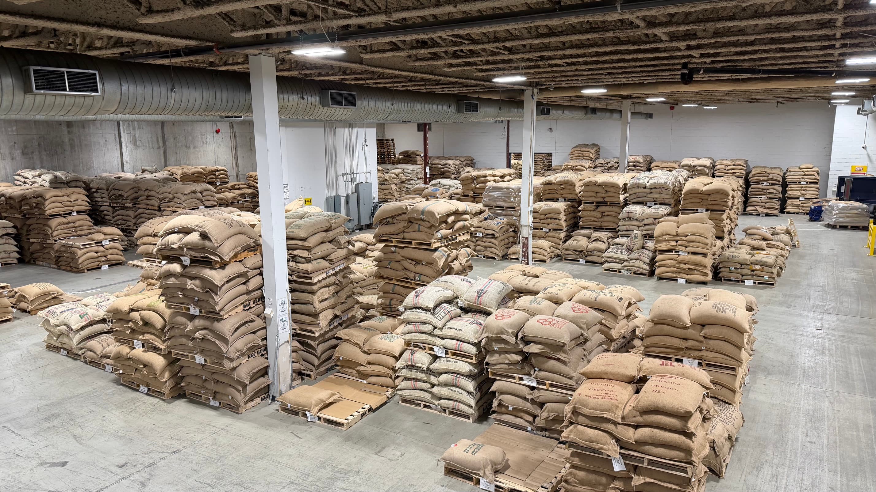 An elevated view over the warehouse floor, dozens of pallets of jute coffee bags, each stack carrying its own lot tag.